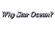 Why a Star Ocean 2 RPG?